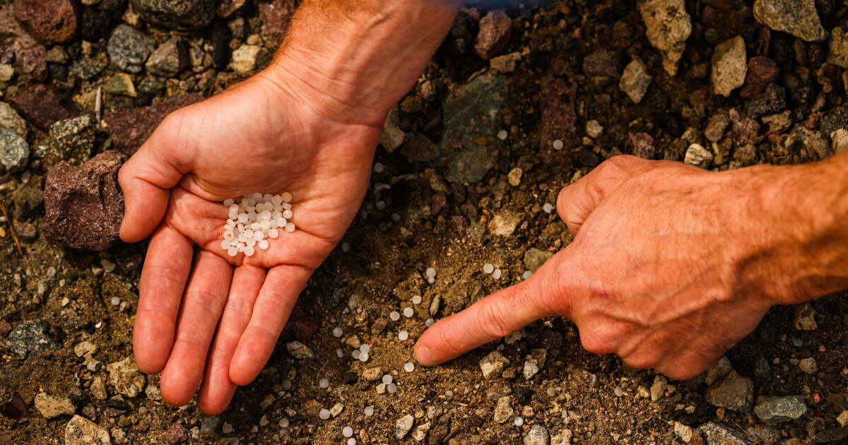 photo of Nurdle count shows scope of small plastic bead pollution in San Diego County and beyond image