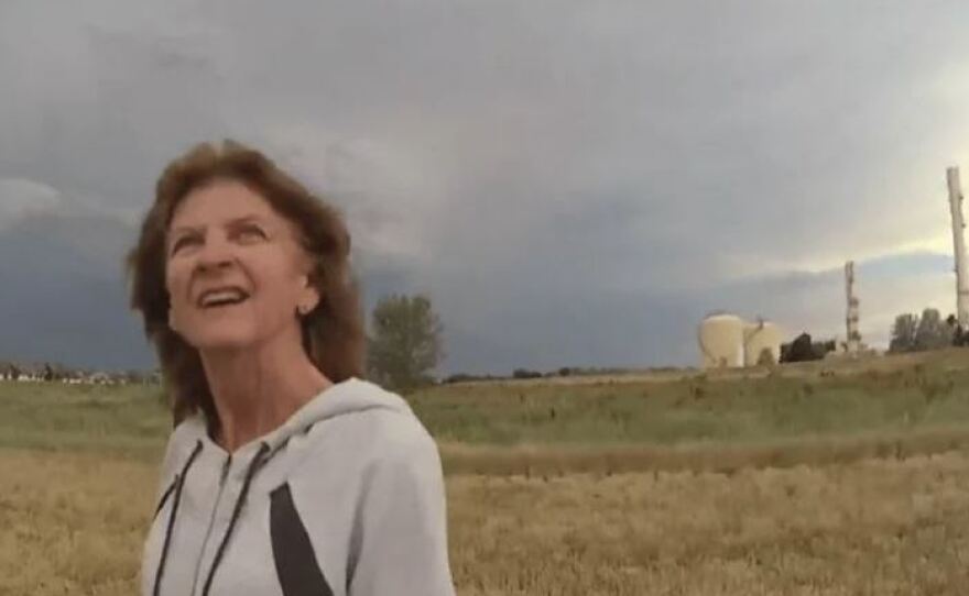 Karen Garner was arrested on June 26, 2020 after officials say she tried to shoplift about $14 worth of merchandise from a local Walmart in Loveland, Colo.