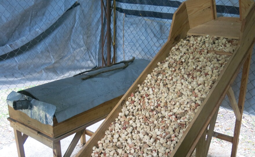 The generators for electricity run on corn cobs purchased from area farmers.