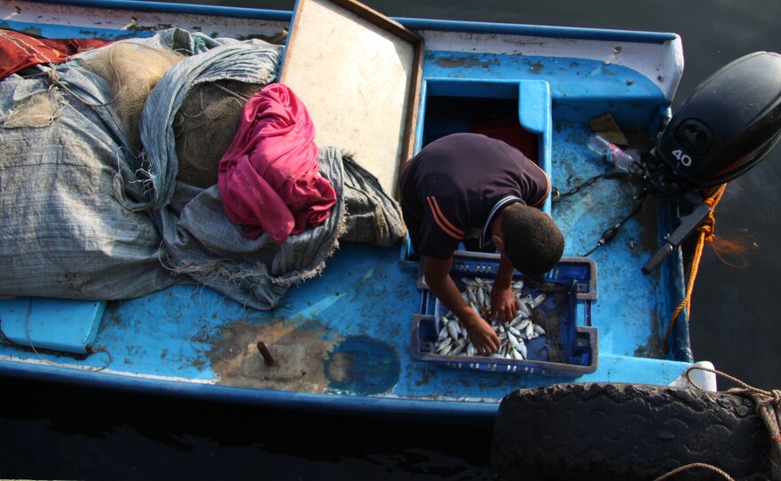 When boats come in to the Gaza city harbor, the fish are small and few. An Israeli blockade keeps Gazans boats within 3 nautical miles from shore, where there are few fish to catch.