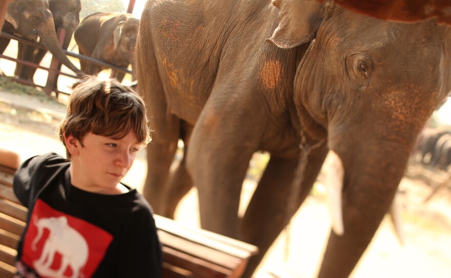 Jack, 11, lives in Bangkok and spends a lot of his time at an elephant sanctuary. If you have a headache, he says, put your head against an elephant and "within seconds, your headache just goes away."