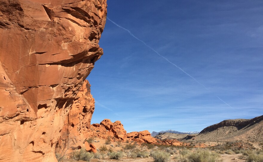 Native Americans have been traveling through the Gold Butte area for centuries, camping at ancient sites like this and gathering plants to use to make baskets and paint.