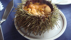 Sea urchins are considered a culinary delicacy, but supply can't keep up with demand.