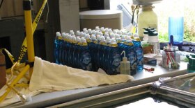 At a warehouse turned bird bathhouse in Venice, La., dozens of bottles of Dawn stand like soldiers behind a row of deep sinks.