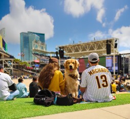 Bark at the Big Screen
