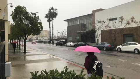 Rain falls near San Diego State University, Feb. 14, 2018. 
