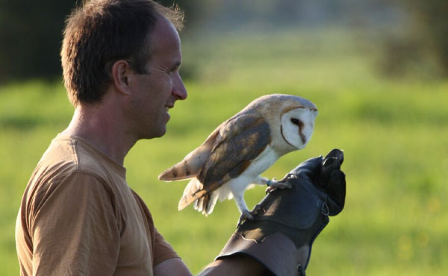 Lloyd Buck and Lily, his barn owl chick.