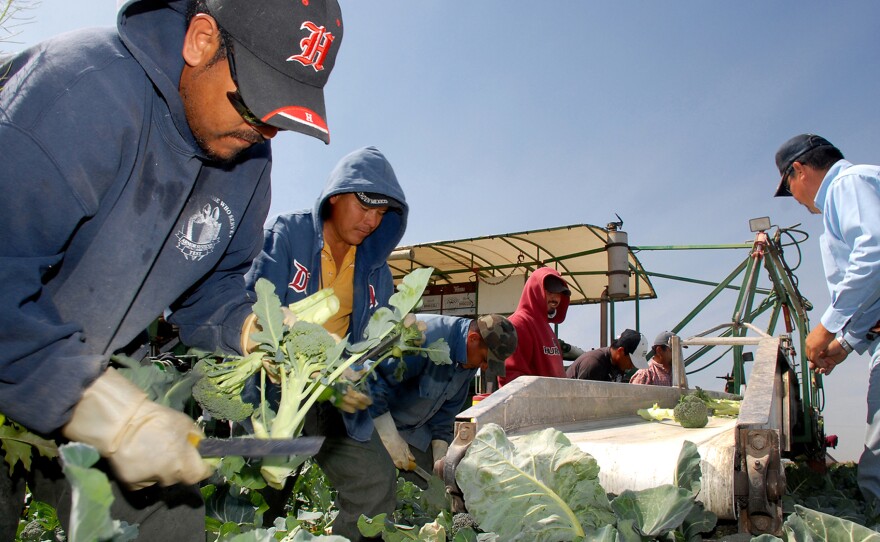 Agriculture is a key job sector in Yuma, Ariz., where the seasonal workforce and migrant labor tend to boost the unemployment rate.