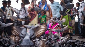 Visitors to Mumbai feed pigeons near the Gate of India. The city's residents are sharply divided: There's the pro-pigeon feeding contingent and the anti-pigeon feeding contingent. The latter group were heartened by a government ban in July on feeding pigeons at designated spots in the city. After public protests, that ban was modified to sanction four locations for tossing grain to the birds.