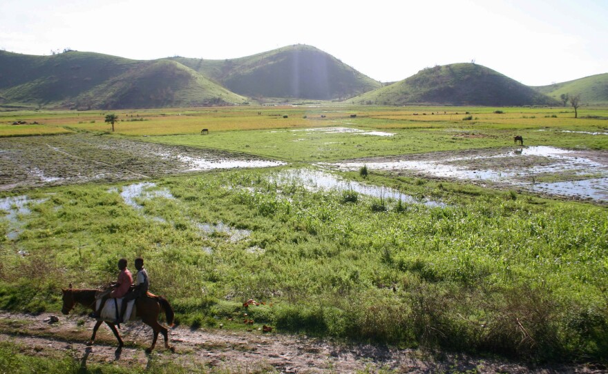 The rice fields below the village of Banatte.