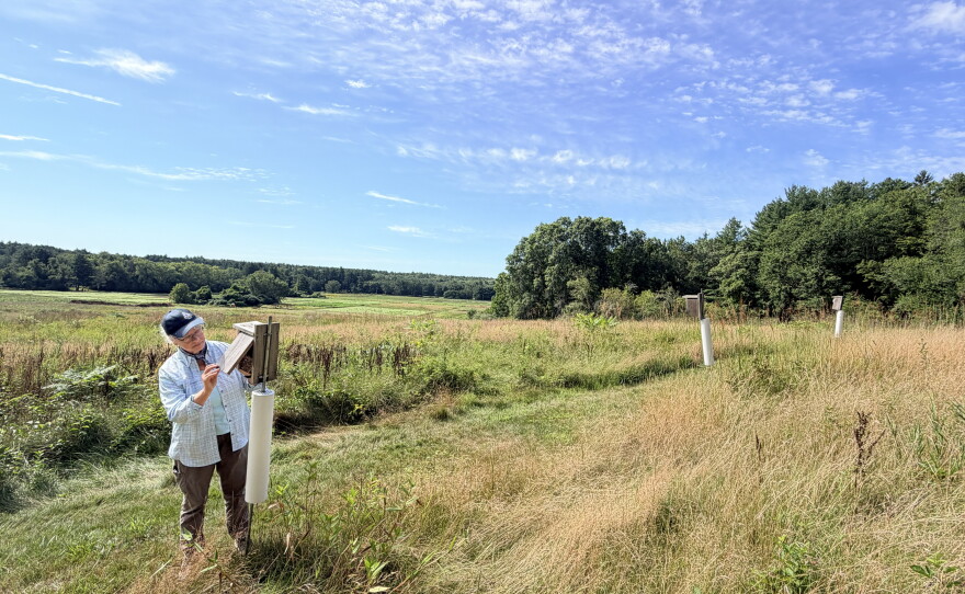Pam Sowizral is one of the legions of birders and conservationists across the country who are already on the ground collecting data about birds when smoke happens to blow in.