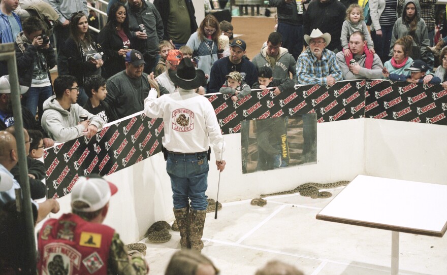 A crowd gathers to watch a Sweetwater Jaycees demonstration during the 2020 Rattlesnake Roundup.