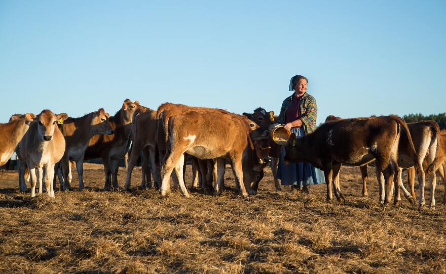 Mary Lou Wesselhoeft is a dairy farmer in the Florida Panhandle. Her Ocheesee Creamery pasteurized skim milk has nothing added — and that's the problem. According to regulations, without added vitamins, it can only be sold as "imitation skim milk."