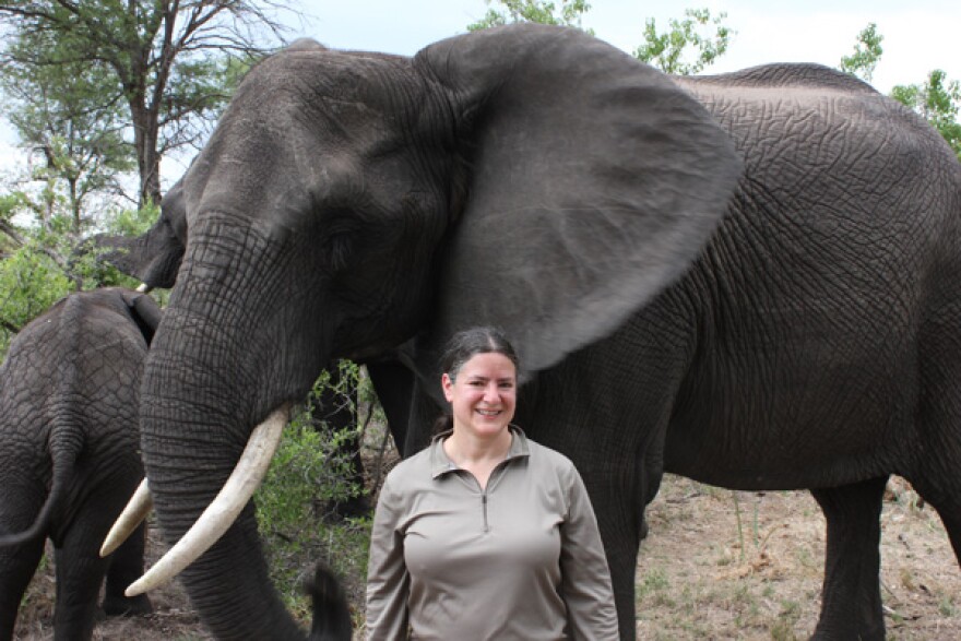 Elephant and Dr. Joy Reidenberg.