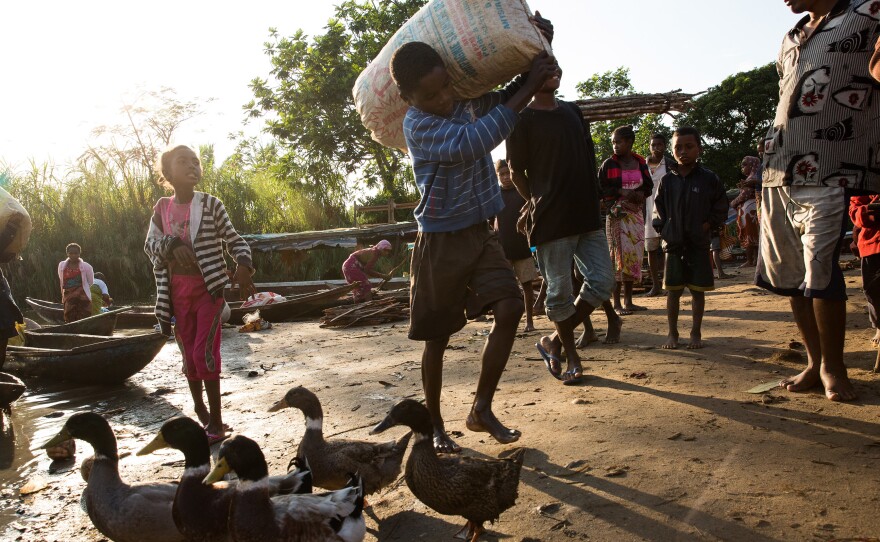 A boy carries a sack of grain from a dugout canoe to shore in the village of Ambohitsara in eastern Madagascar, characterized as a low-income country by the World Bank.