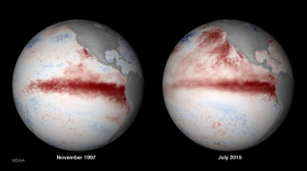 NOAA satellite photos from 1997 and 2015 that show very similar El Niño patterns in the western Pacific ocean.
