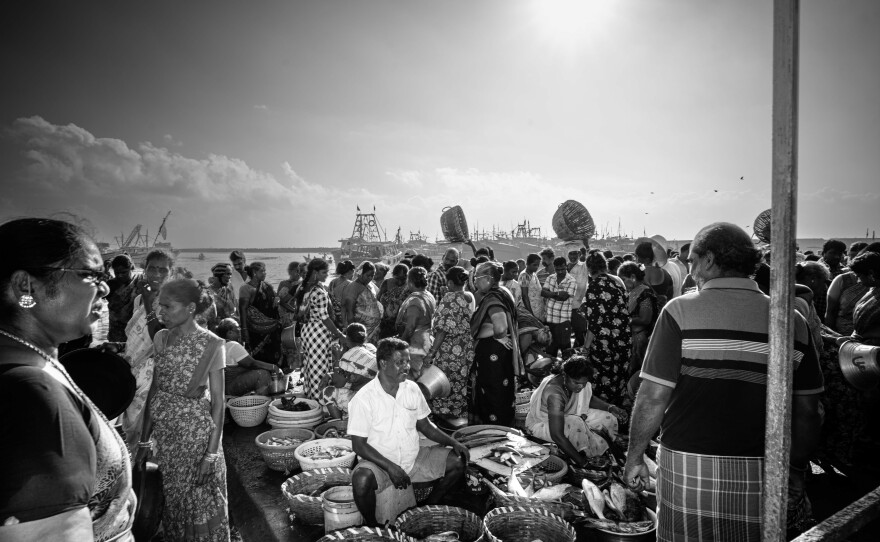 Vendors set up their baskets of the morning's catch on the docks, catering to customers that weave through the makeshift market.