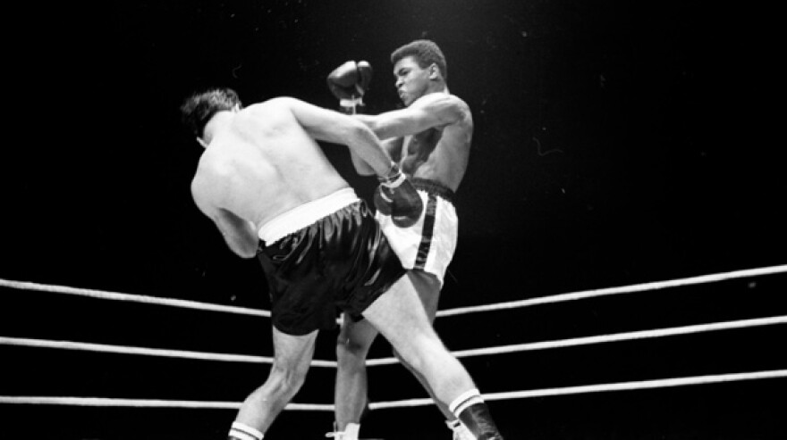 Cassius Clay "stinging like a bee!”