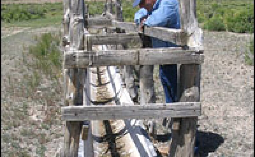 Dean Baker, who ranches in Utah and Nevada, gazes at a waterless trough once used by sheep and wild horses. Baker is convinced that the proposed groundwater pumping for Las Vegas would leave many troughs, springs and wells short of water.