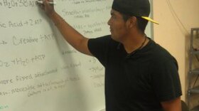 Immigrants Find Loopholes In Arizona Self-Deportation Laws