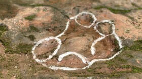 One outline of a footprint discovered in the restaurant courtyard.
