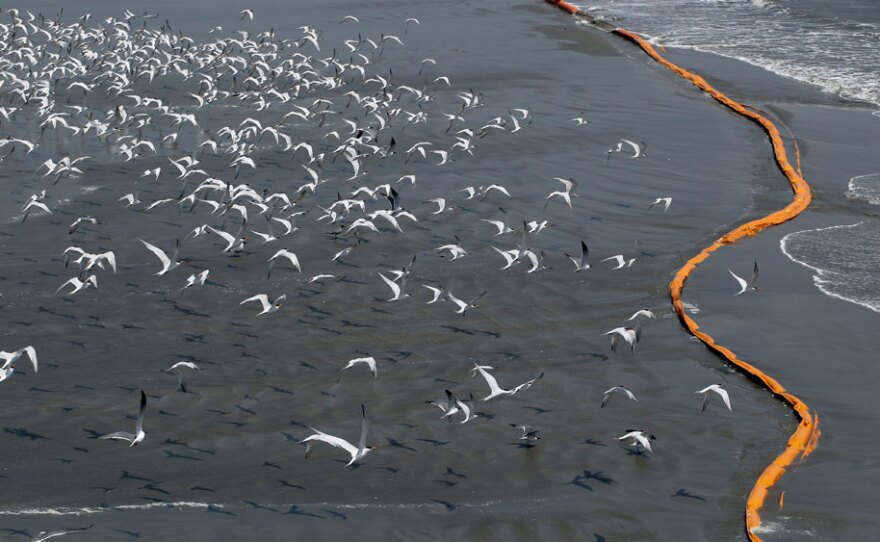 Birds fly over containment booms placed to try to stop oil from reaching the shoreline along the South Pass, south of Venice, La. Oil from a massive rig explosion threatens the region's wildlife.