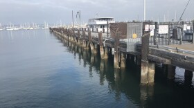 The seaweed farm will take root at the end of the Grape Street Pier pictured here on Aug. 27, 2018.