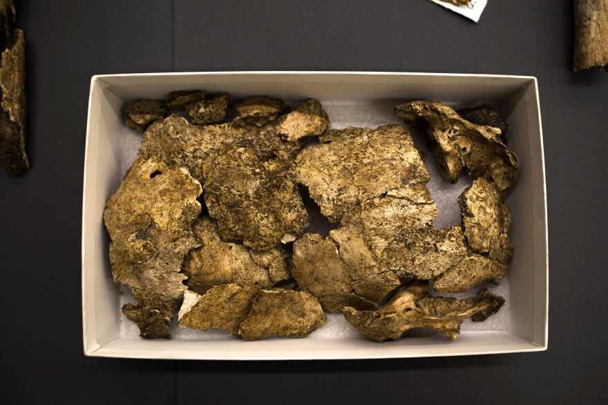 Only about 30 percent of each skeleton was recovered, including these pieces of one man's cranium.