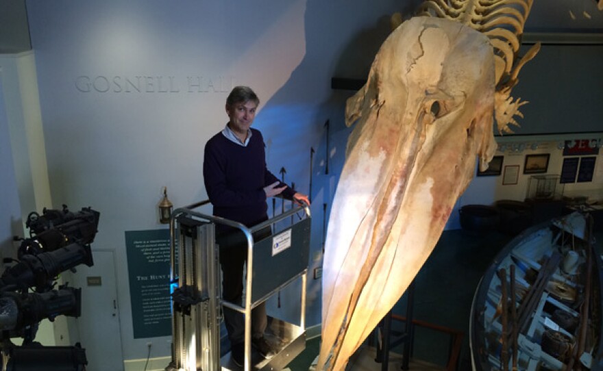 Steven Johnson visits the Nantucket Whaling Museum with sperm whale bones.