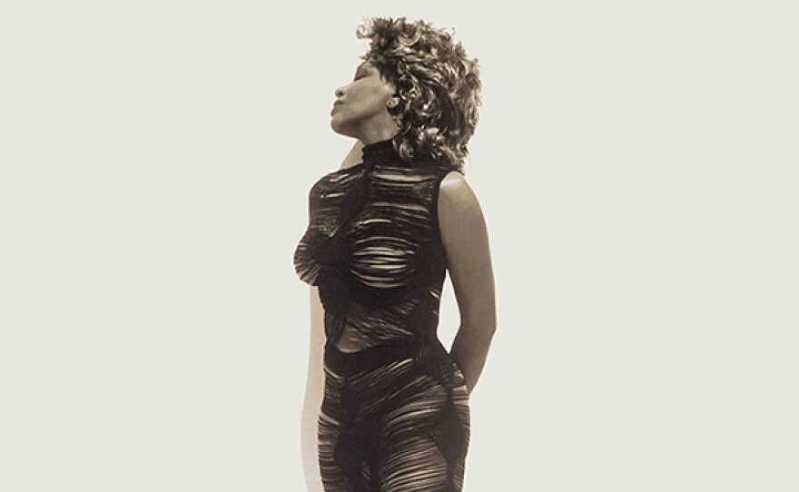 Legendary performer Tina Turner. (undated photo)