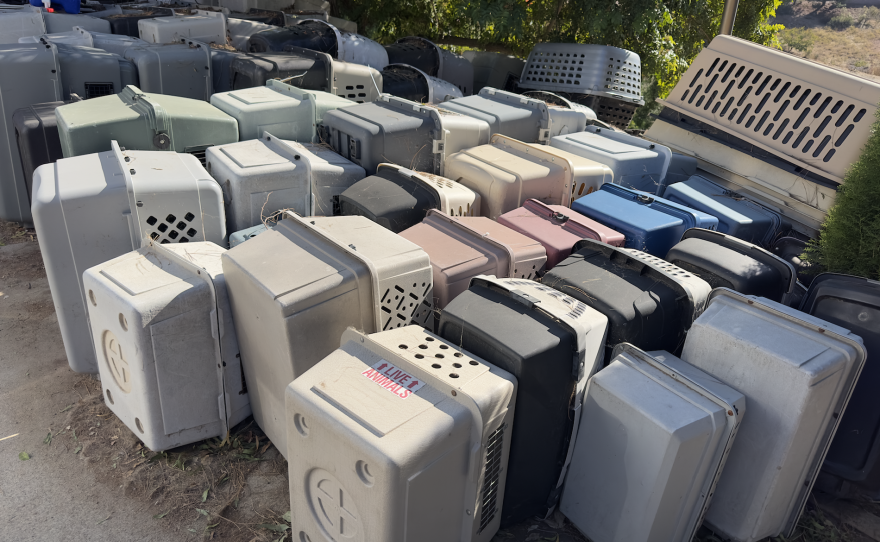 Crates are organized by size at Fry's kennel in Jamul on Nov. 11, 2024.