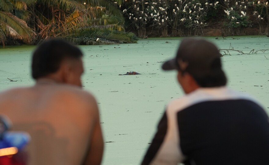 Locals relax as they watch hippos floating in a lake near Doradal, Colombia, April 23