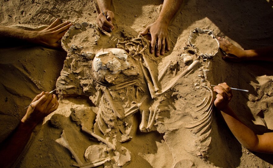 Excavation of a triple burial in the Sahara Desert.