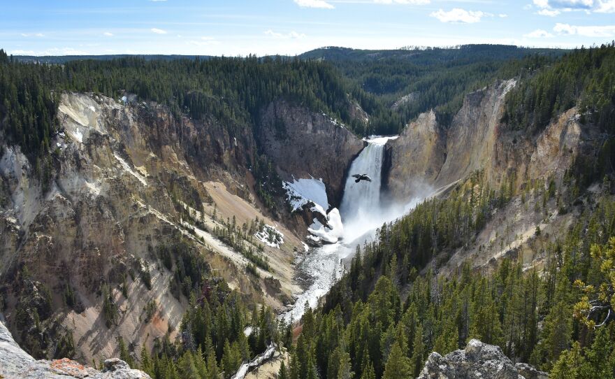 Shoppers on Black Friday definitely won't get a view like this of the Lower Falls at the Grand Canyon of the Yellowstone National Park while waiting for the stores to open.