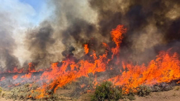 This undated photo provided by the U.S. Forest Service on Friday, Aug. 7, 2026, shows the Widemouth 2 wildfire burning near Richfield, Utah.