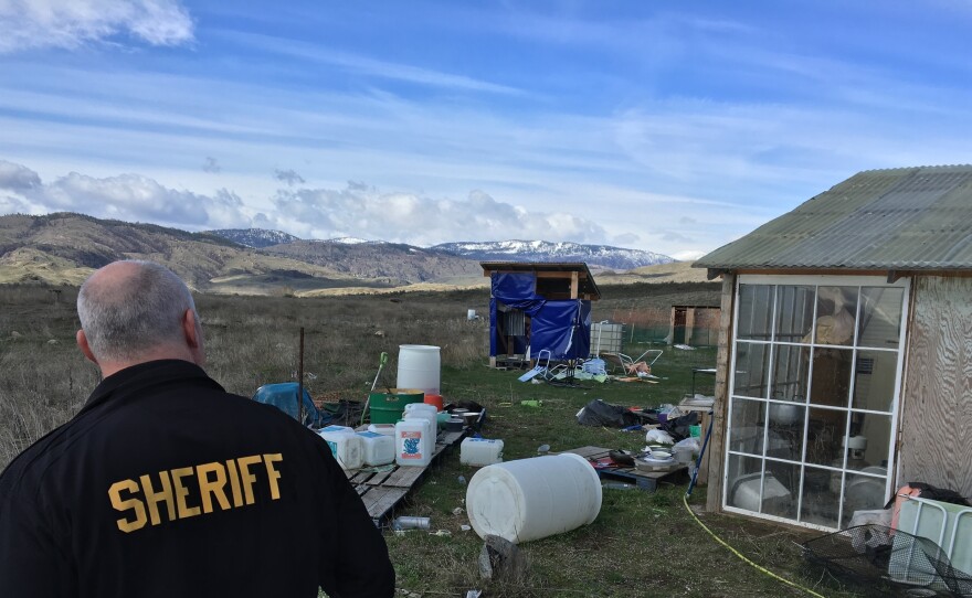 Okanogan County Chief Criminal Deputy Steve Brown surveys the debris left over from an illegal pot farm that had masqueraded as a legal operation.