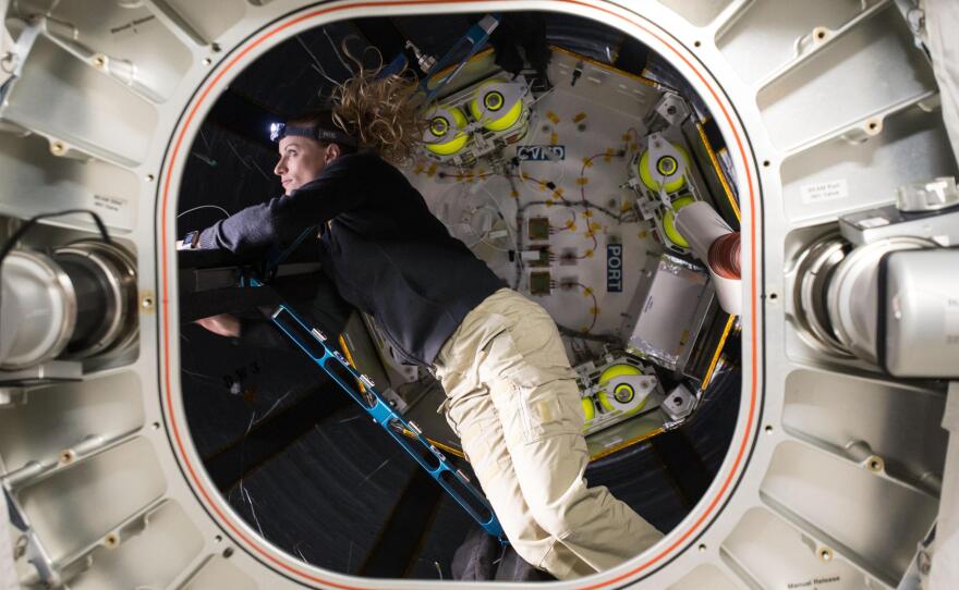 Flight engineer Kate Rubins checks out the Bigelow Expandable Activity Module (BEAM)