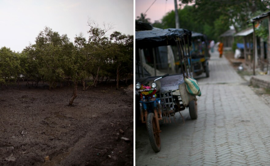 Neighboring villages of Rajat Jubilee (right) and Tipligheri Sadhupur (left) have both benefited from solar-powered electricity. Below, women stand on the bank separating mangrove trees from the water in Tipligheri Sadhupur.