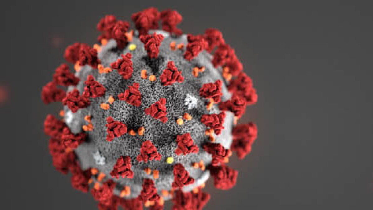 2020 Coronavirus Blog Archive | KPBS Public Media