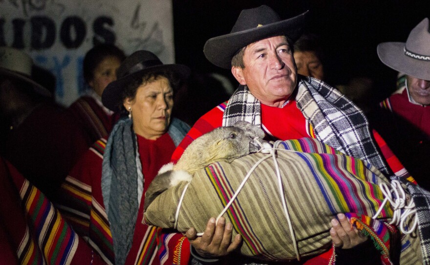 The mayor of Coyllurqui, Walter Bocangel Gamarra, carries the bundled condor in advance of its battle with the bull.