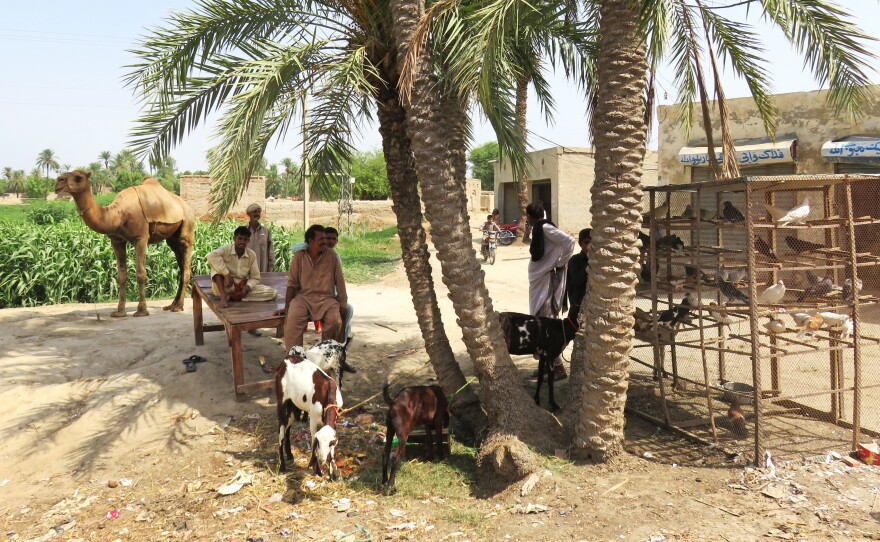 Men shelter from the heat in a village in south Punjab, Pakistan's most populous province.
