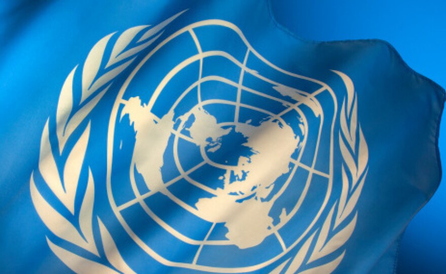 Flag of the United Nations