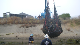 Operation Clean Sweep volunteers clean Chollas Creek.