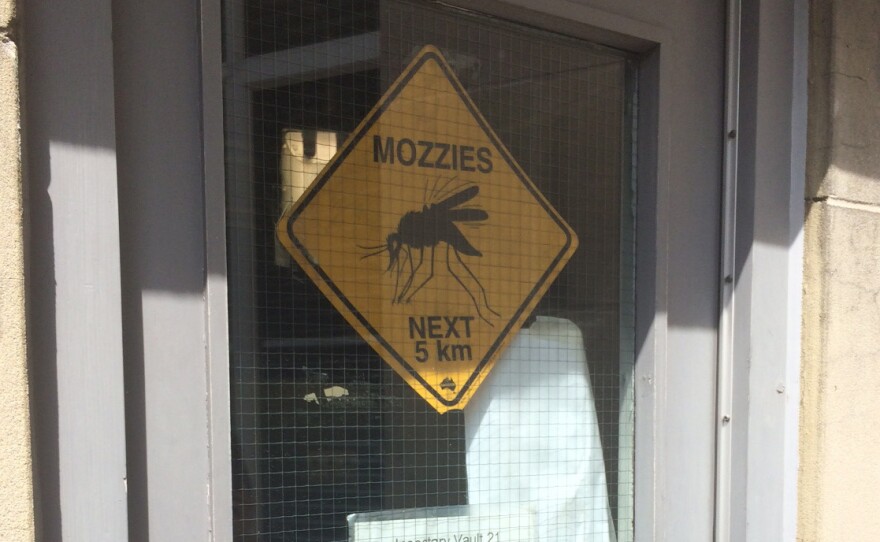 The door leading down to the mosquito rooms at the London School of Hygiene and Tropical Medicine.