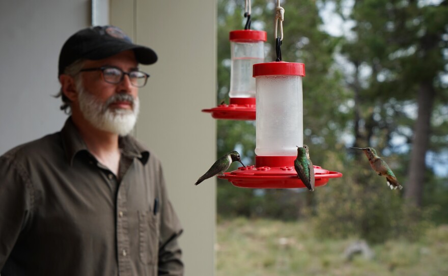 Connors watches hummingbirds visit a feeder near the tower. A survey by the Forest Fire Lookout Association estimates that only about 300 fire lookout towers are still manned today, many by volunteers.