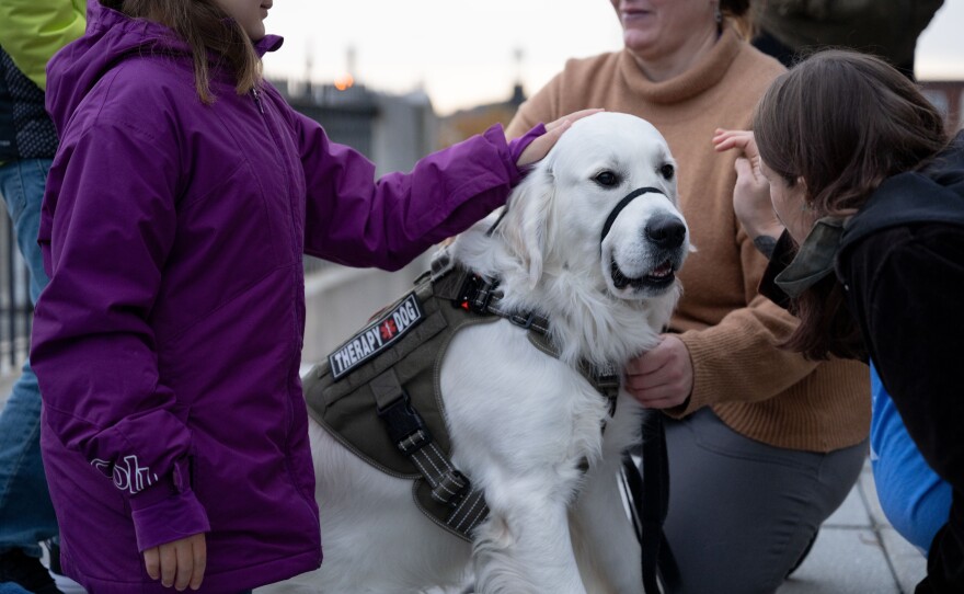 Before the OneLewiston Community Vigil, Gabriella Dunham, 10, left, pets Oliver, an English cream golden retriever therapy dog outside of the Basilica of Saints Peter and Paul in Lewiston, Maine.