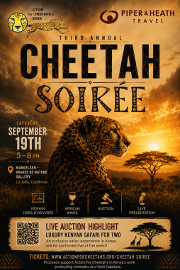 3rd Annual Cheetah Soirée