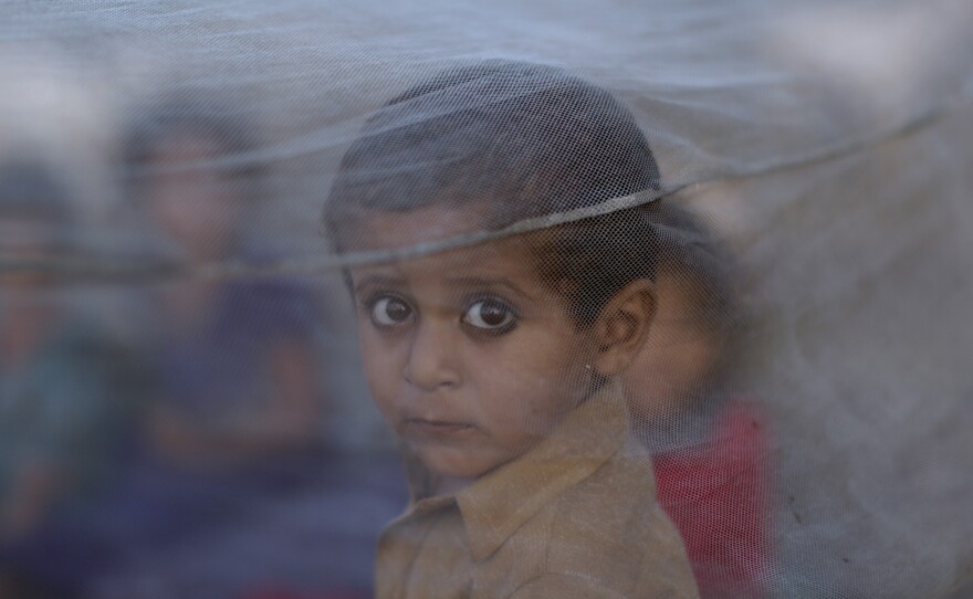 A Pakistani boy peers out from behind a mosquito net after his family fled their home due to catastrophic flooding in Sindh province.