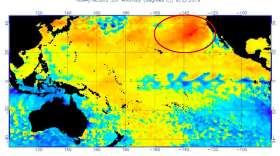 A blob of unusually warm sea surface water off the coast of California, Sept. 2, 2019.

