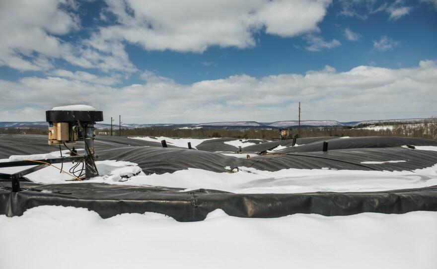 The methane digester on Reinford Farms is like "a big, giant stomach," says Brett Reinford. It converts manure and excess produce from local food stores into renewable energy.